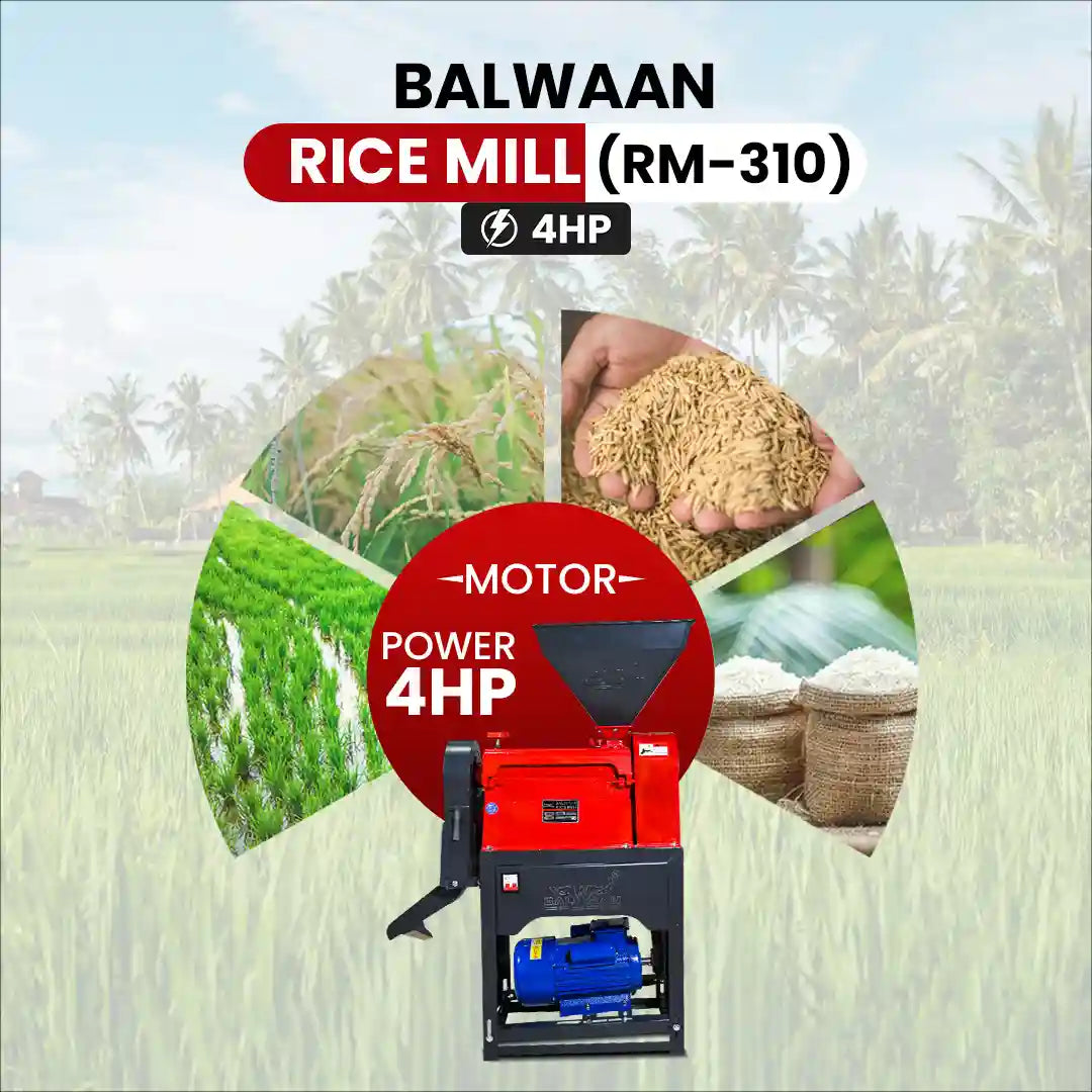 Balwaan RM-310 Rice Mill Machine with 4HP Motor | 280–300 kg/hr Capacity | Electric Paddy to Rice Mill for Home & Small 
