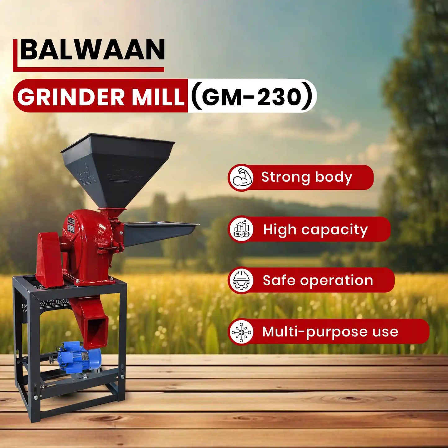 Balwaan Grinder Mill GM-230 | 3 HP Copper Motor | 200 kg/h Capacity | Commercial Electric Flour Mill