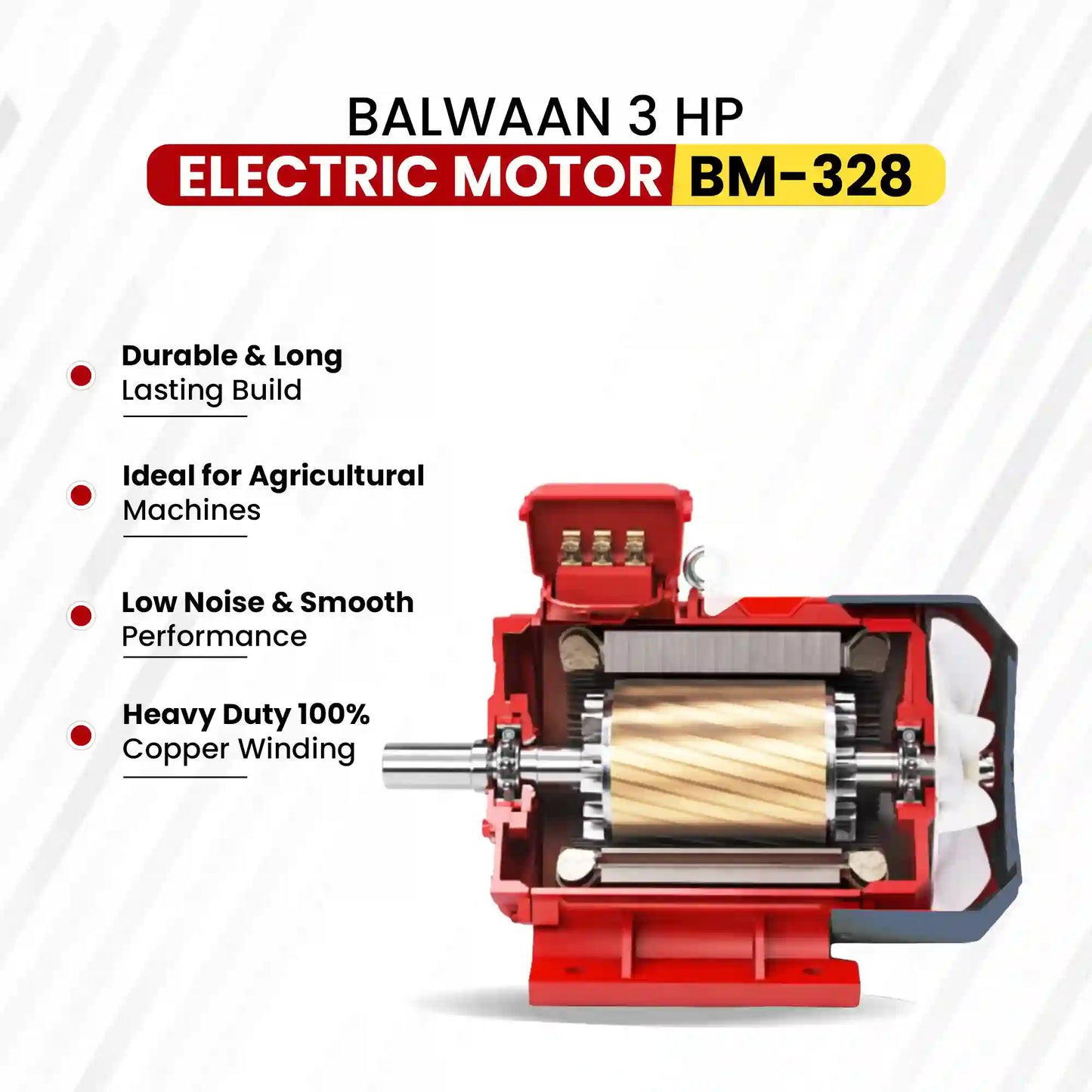 Balwaan 3 HP Electric Motor BM-328 | Heavy Duty 100% Copper Winding Motor for Agricultural & Motor-Operated Machines