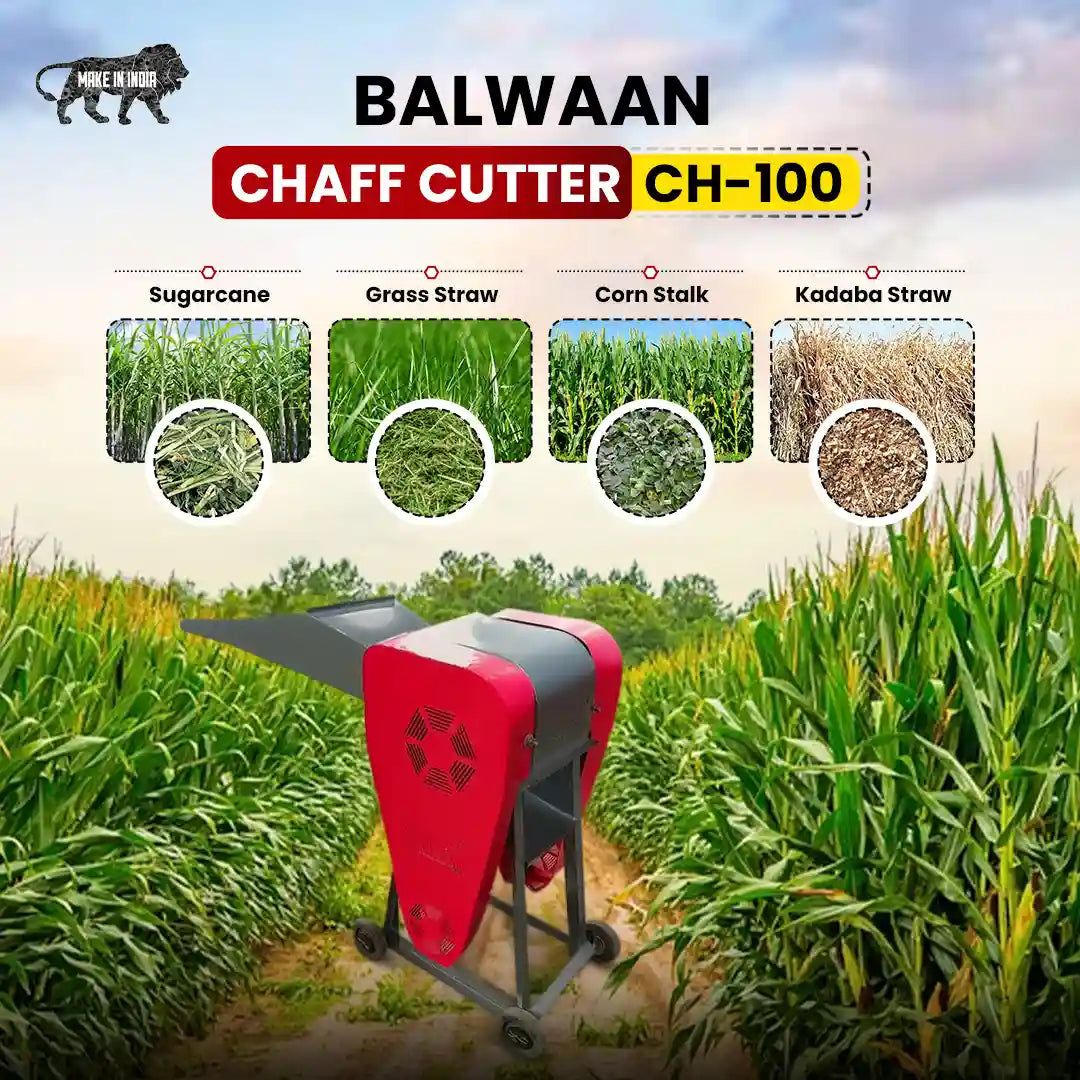 Balwaan CH-100 Chaff Cutter Machine for Dairy Farming | 300–500 Kg/Hour Fodder Cutting Capacity