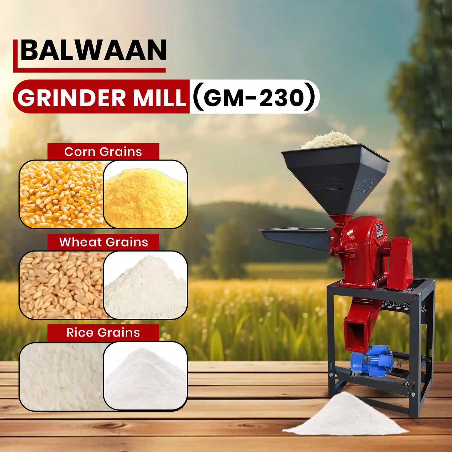 Balwaan Grinder Mill GM-230 | 3 HP Copper Motor | 200 kg/h Capacity | Commercial Electric Flour Mill