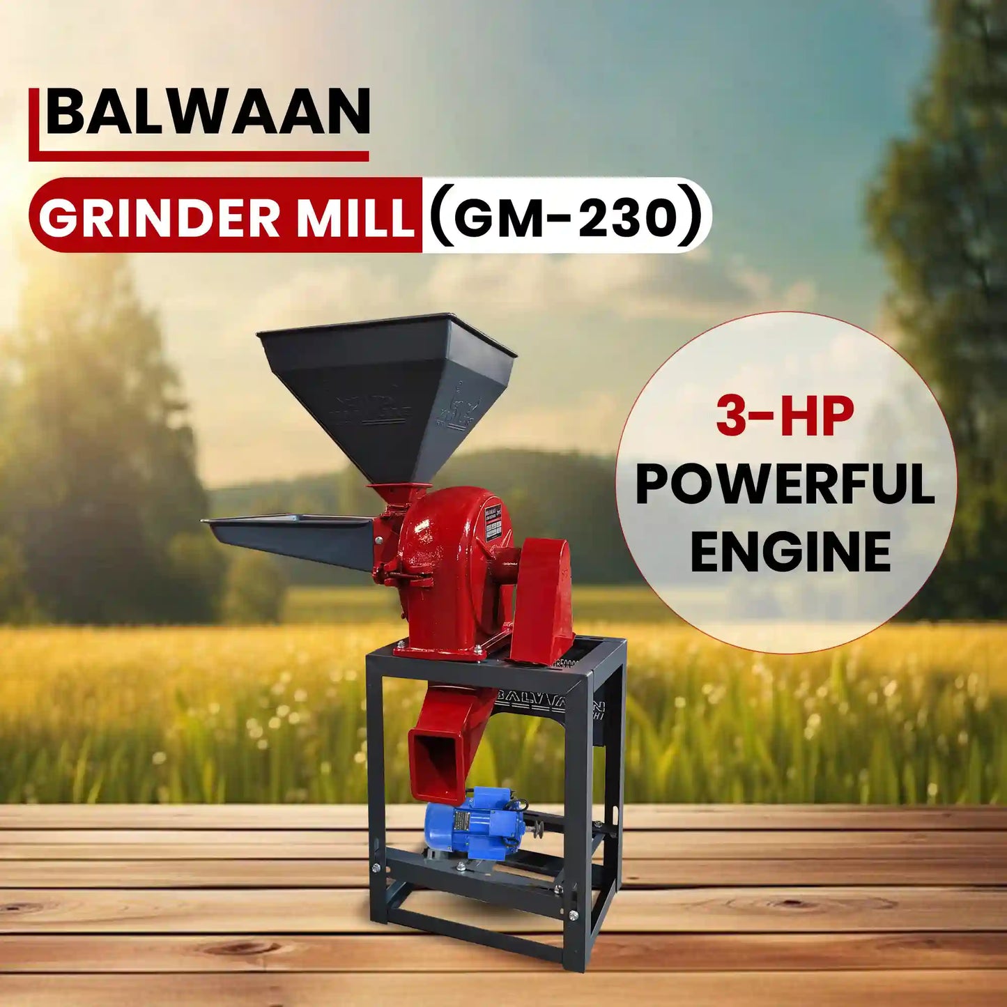 Balwaan Grinder Mill GM-230 | 3 HP Copper Motor | 200 kg/h Capacity | Commercial Electric Flour Mill