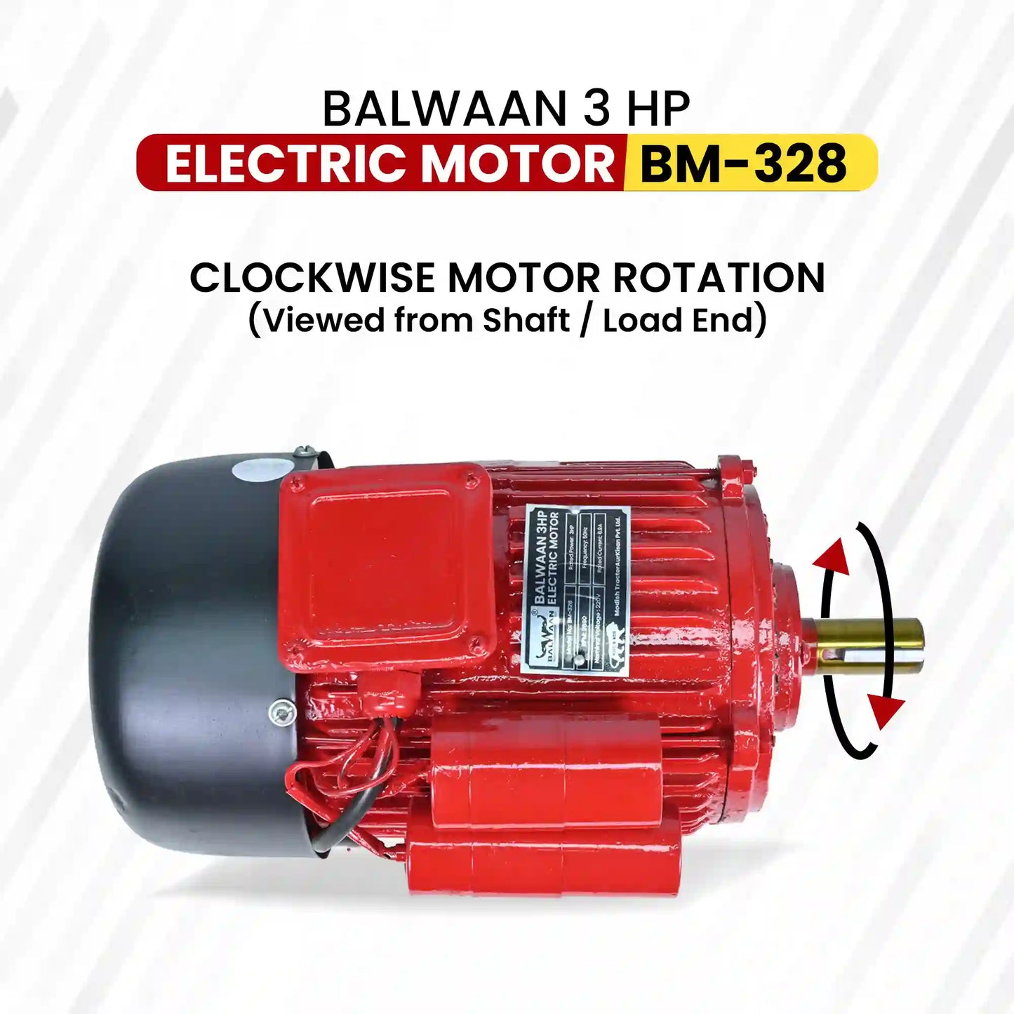 Balwaan 3 HP Electric Motor BM-328 | Heavy Duty 100% Copper Winding Motor for Agricultural & Motor-Operated Machines