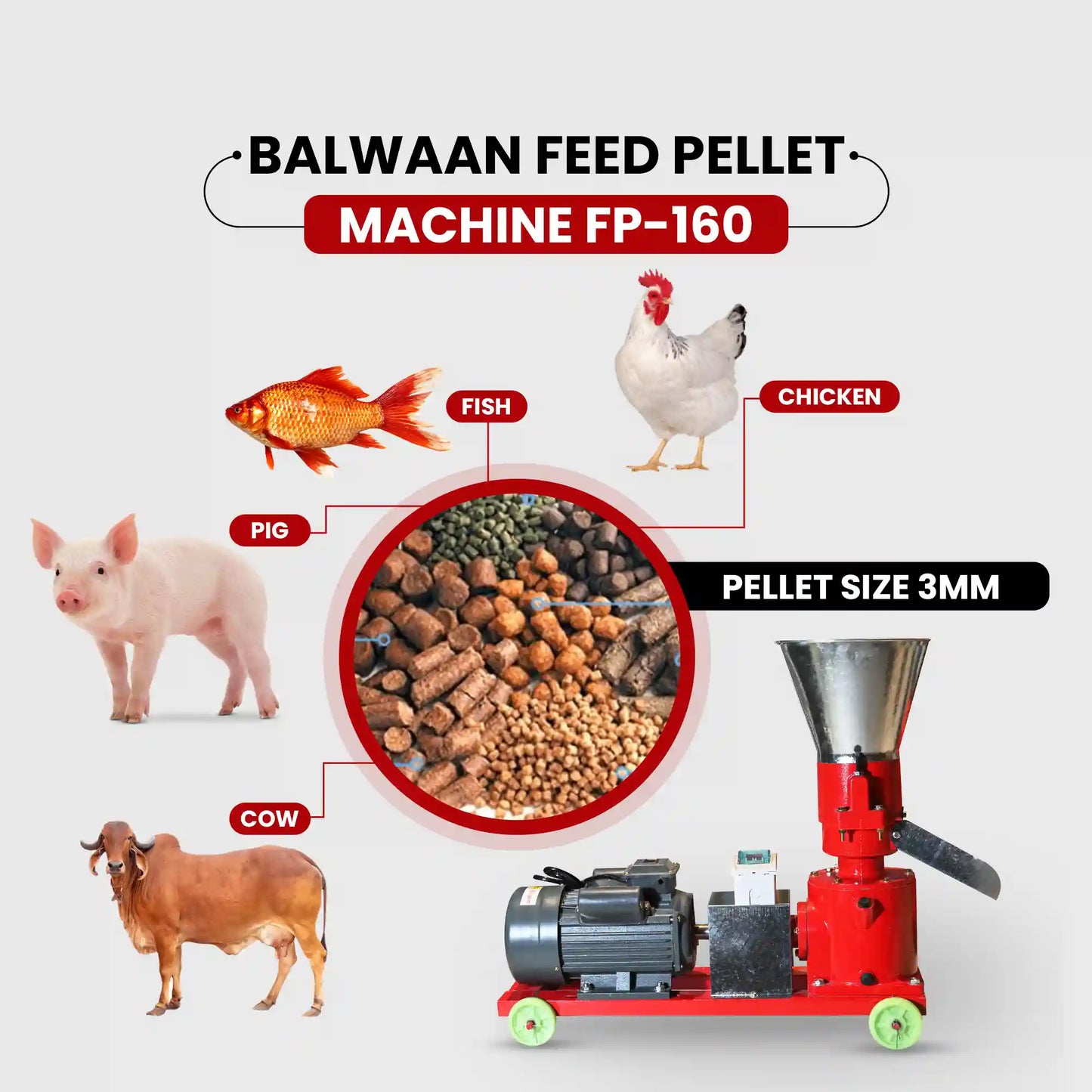 Balwaan Feed Pellet Machine FP-160 | 5HP Copper Motor | 100-130 kg/h Productivity | Professional Cattle & Poultry Feed M