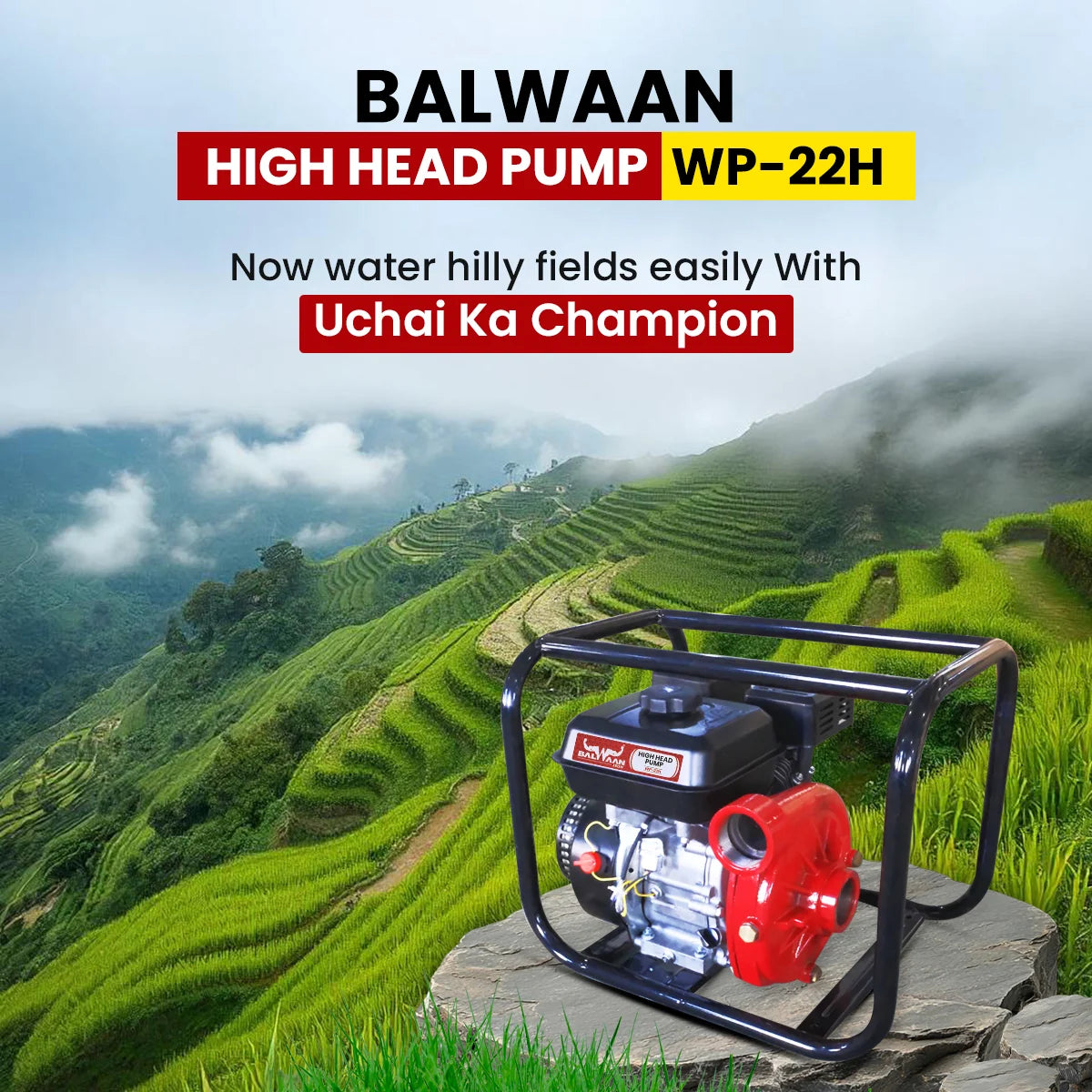 Balwaan 2x2 Inch High Head Pump| WP-22H