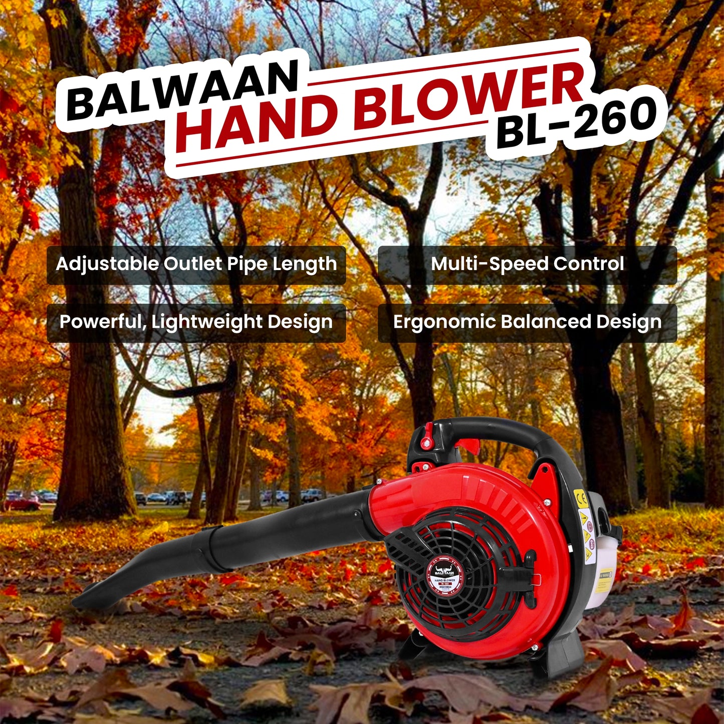 Balwaan BL-260 Portable Hand Blower