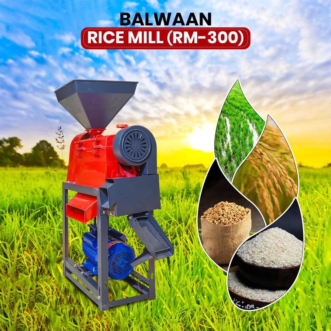 Balwaan Rice Mill (RM-300)