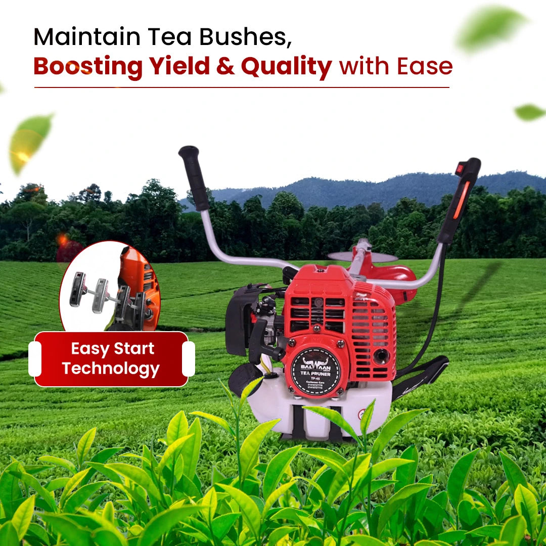 Balwaan Tea Pruner (TP-45)