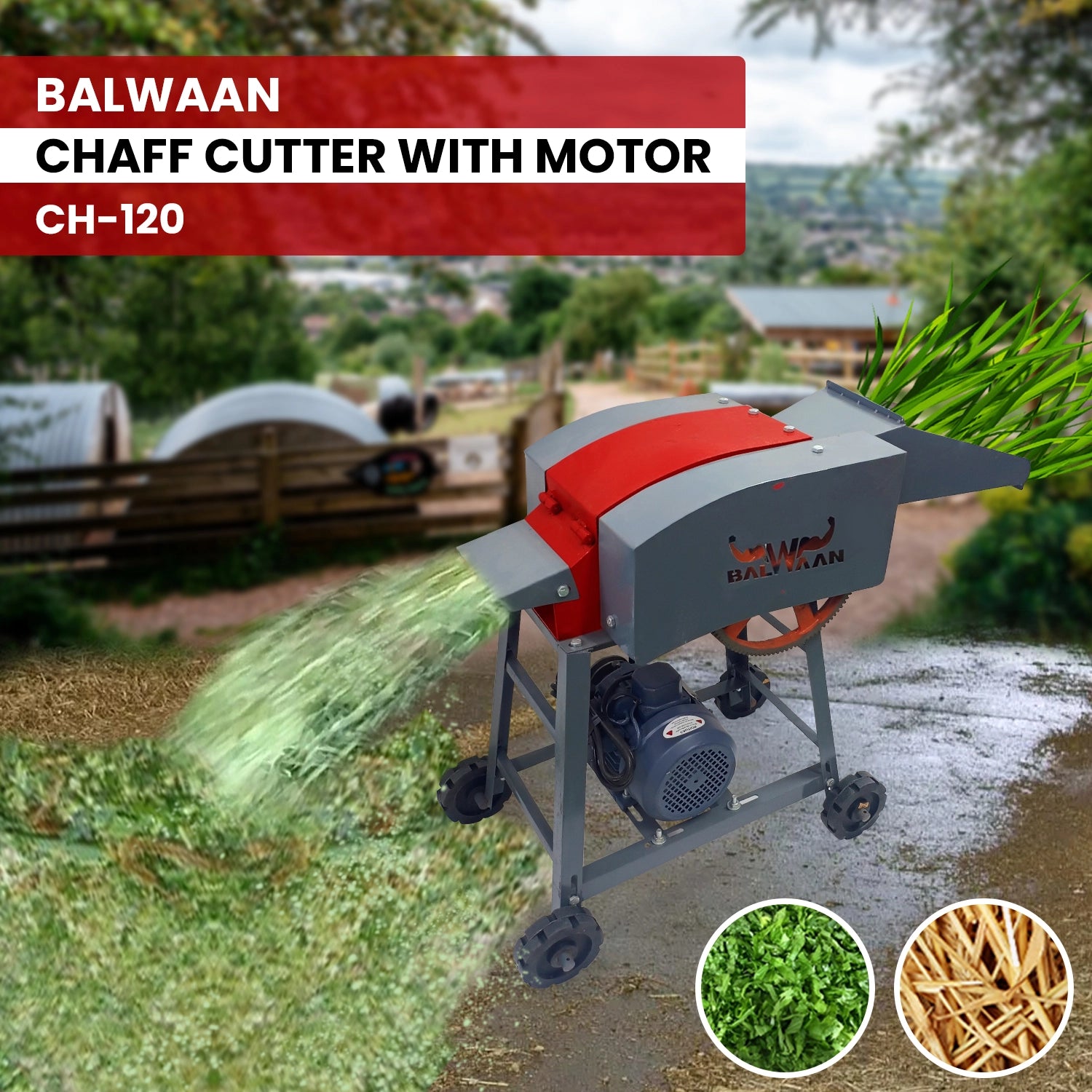 Balwaan Chaff Cutter CH-120 With 2HP Motor | Comes with 4 pieces of Blade and RPM 1440 | Suitable for cutting up straw o