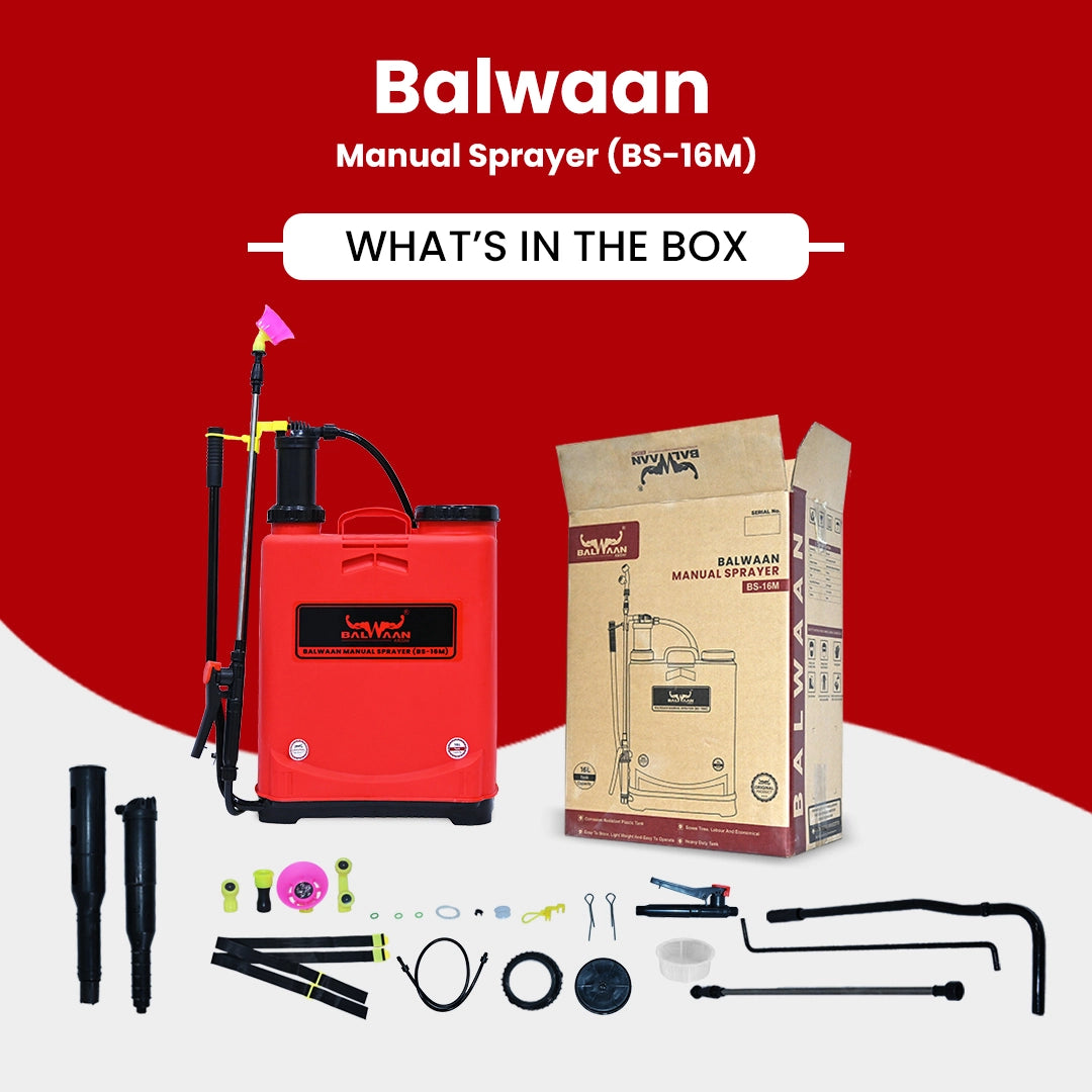 Balwaan BS-16M Manual Sprayer (16 Liters)