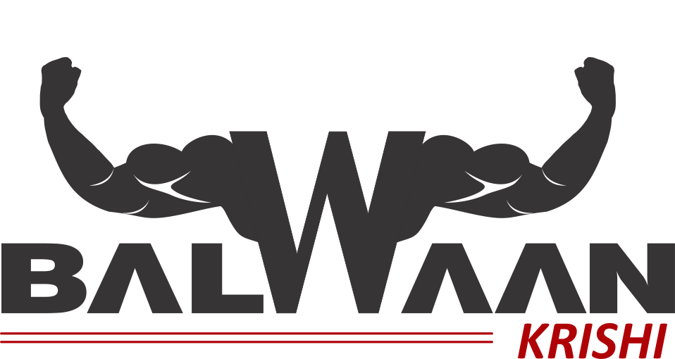Balwaan